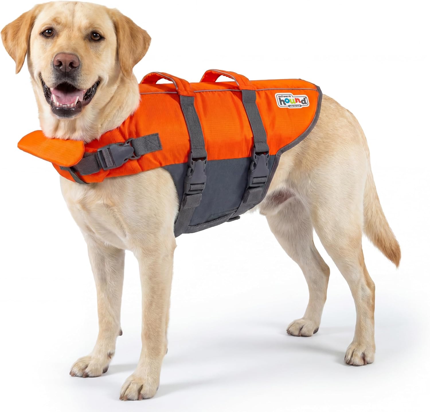 Outward Hound Granby Splash Life Jacket