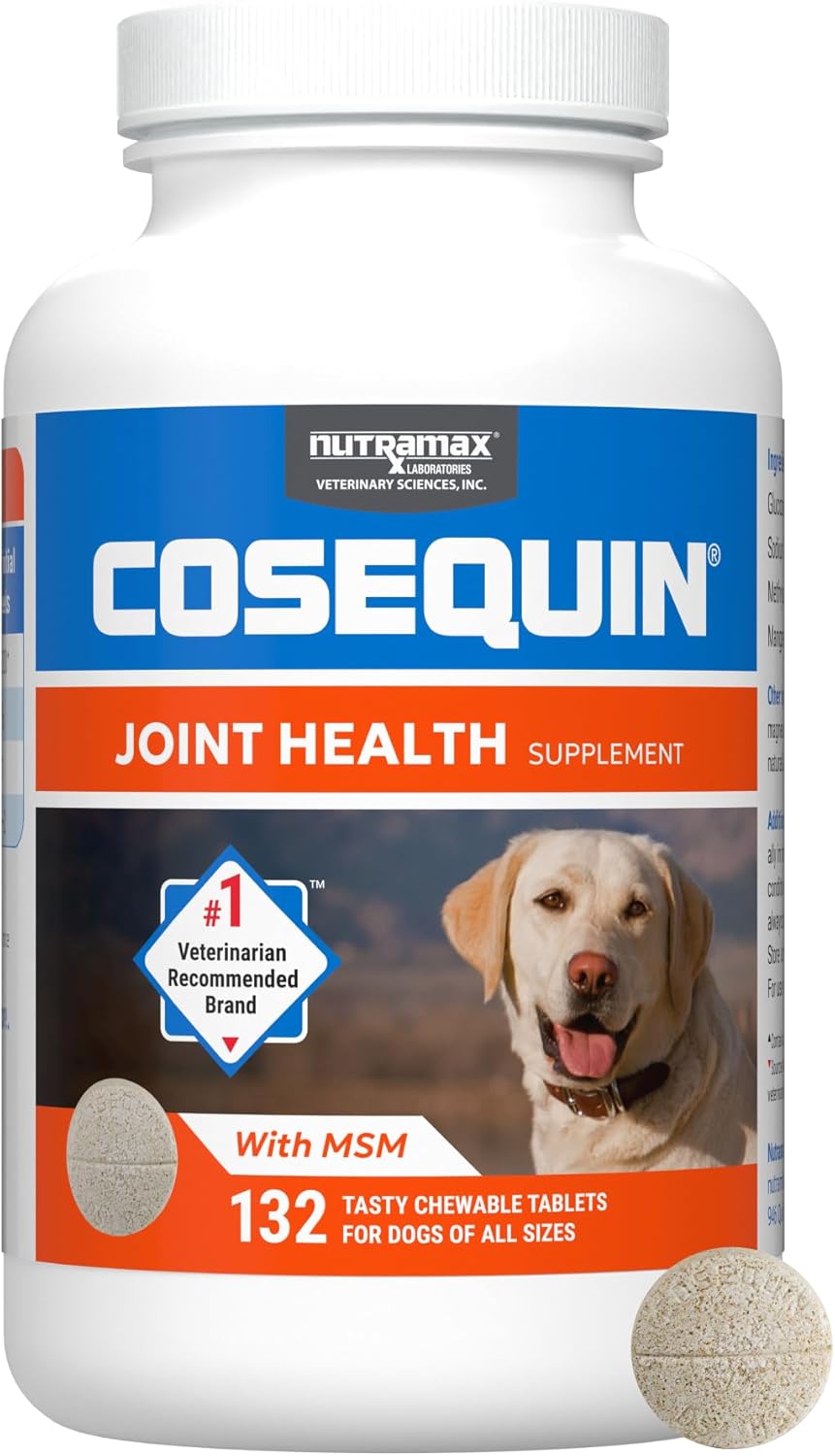 Nutramax Cosequin Joint Health Chews for Dogs
